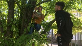 BFS hängt Insektenhotels auf     